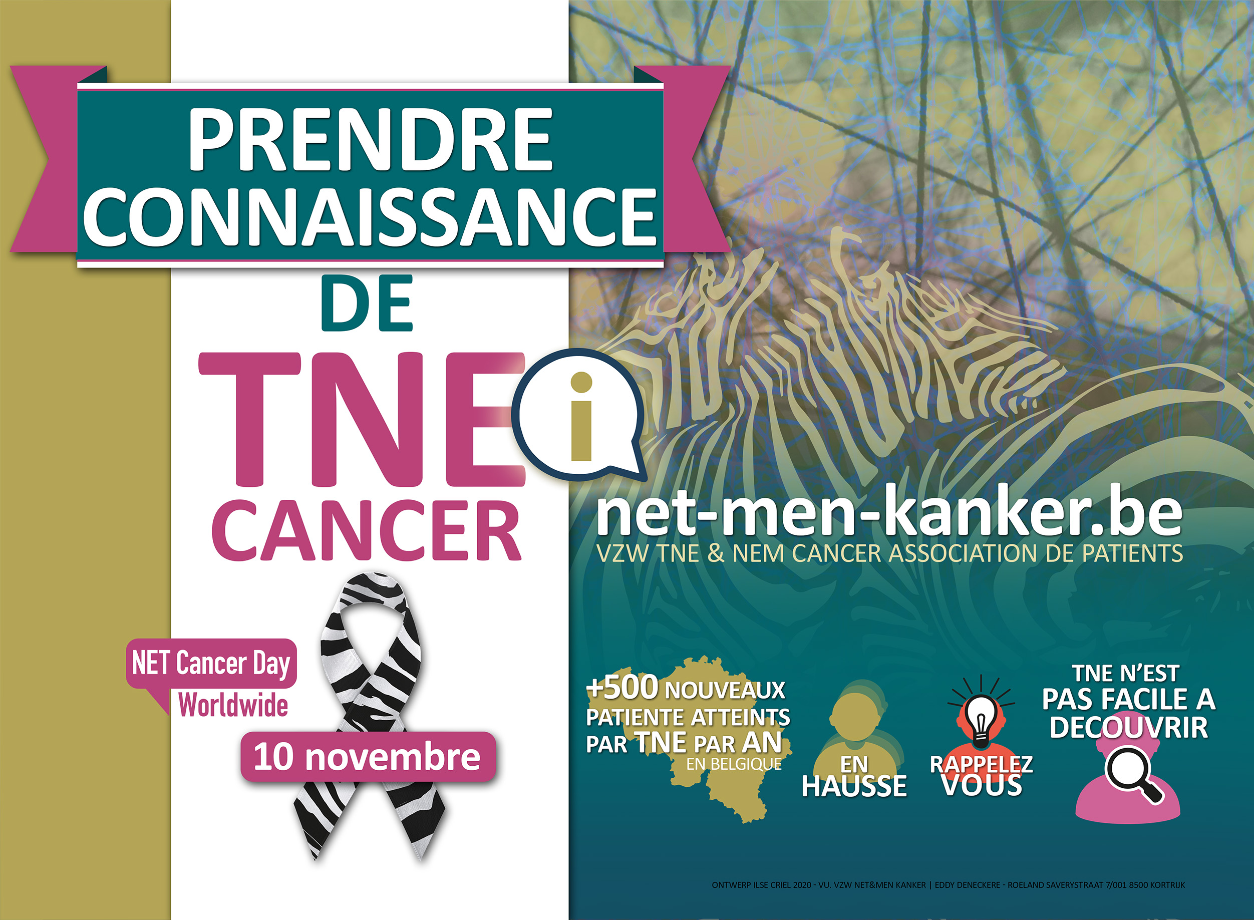 Affiche 'BEWUST WORDEN VAN NET' naar aanleiding van World NET Cancer Day op 10 november.